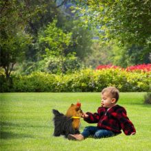 Az interaktív kutya érintésre reagál, mozog, sétál, ugat York