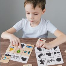 Montessori Keresse Meg Az Árnyékot – Párosítsa A Képeket 10 Kartya Yzpd