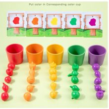 Gyümölcs- És Zöldségkert, Színforma Besorolás,színbesorolás Kupa Játékok Montessori Zöldségek Gyümölcsök Számlálás Forma Egyező Tanyasi Óvodai Játék