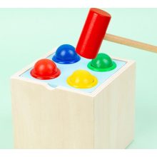 Montessori 5 Az 1 Ben Kalapácsos Játék 