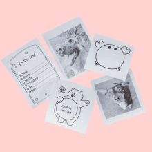 Mini Hőnyomtató Címkefotókhoz + Usb Kábel, Rózsaszín Macska