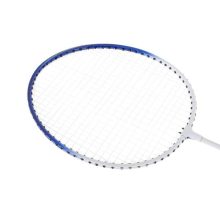 Tollaslabda Ütők, Tollaslabda Készlet Tokvédővel